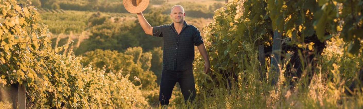 Man in a Vineyard